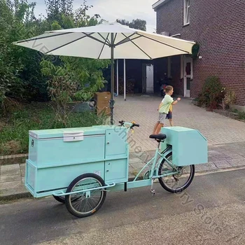 OEM CE által Jóváhagyott 3 Kerék Cargo Bike-Fagyasztó Élelmiszer-Árusító Kocsi Eladó Fagyit, Elektromos Tricikli