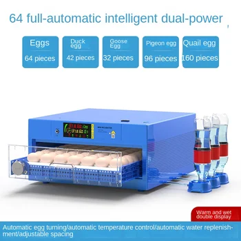 64 Tojás Inkubátor A Fiók Típus Mini Tojás Inkubátor Automatikus Víz Ionos Vízágy Feltöltését, Illetve Hőmérséklet-Szabályozás