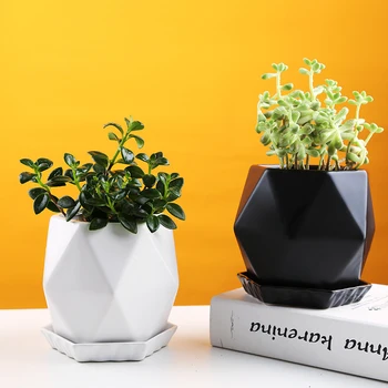 Európai Egyszerű Gyémánt Zamatos Kerámia Virágtartó A Tálca Asztali Kaktusz Zöld Növény Bonsai Pot Otthonunk Erkélyre Kreatív Kert